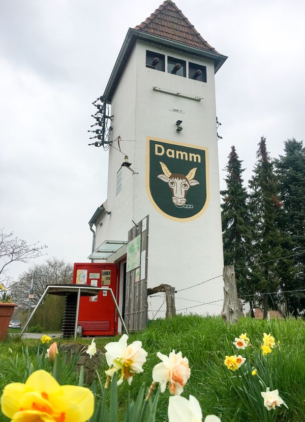 paus-referenz-dammer-stromturm